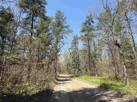 Wooded Recreation Land