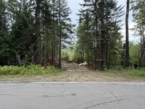 Wooded Recreational Land