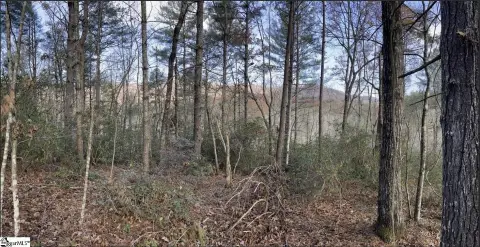 Unrestricted Land Near River Falls