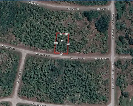 Residential Lot in North Port