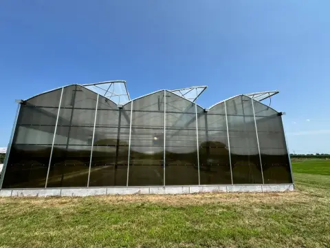 Turnkey Greenhouse Ready for Production