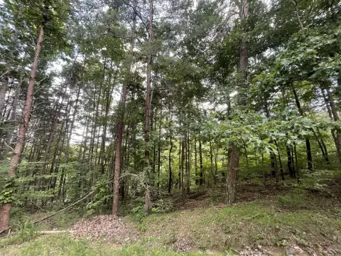 Ranger, GA Land For Sale