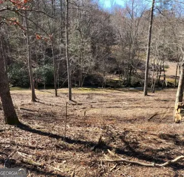 Creek Front Land in Georgia