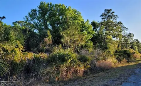 Oversized Corner Lot in North Port