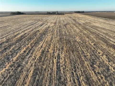 Farmland Near Perry, Iowa