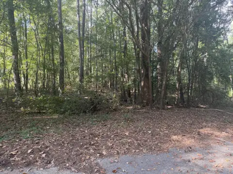 Residential Land in Rembert, SC