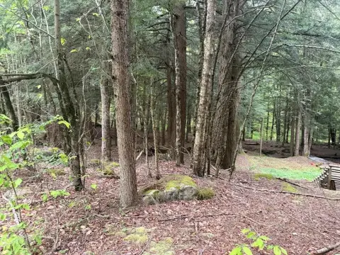Smethport Land with Stream