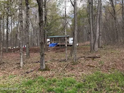 Secluded Land with Camper in Shunk