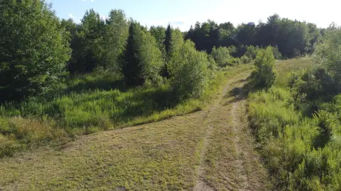 Recreational Hunting Land with Road Access