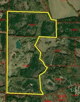 110.5 Acres of Unimproved Land