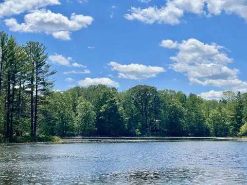 Land with Lake Frontage