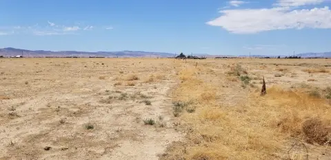 Expansive Land Parcel in Lancaster