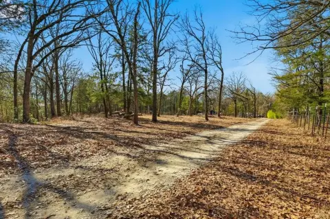 7.28 Acres of Wooded Land