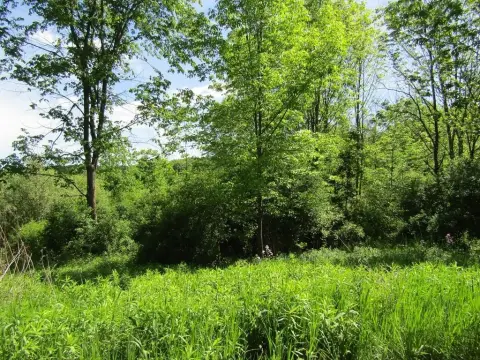 Hunting Land with Primitive Cabin