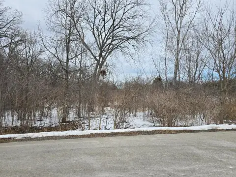 Land For Sale, Wadsworth, IL