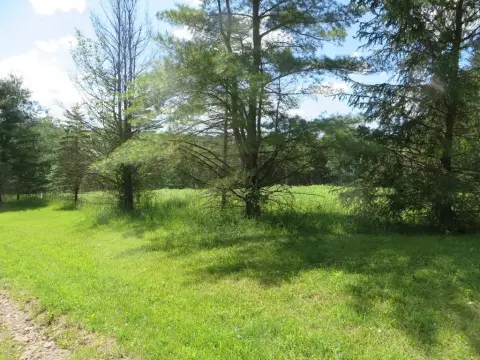 Recreation and Hunting Land