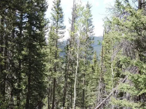 Treed 4-Acre Lot in Jefferson