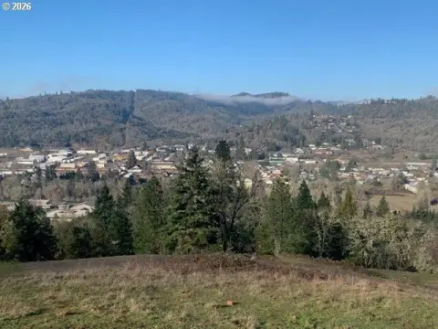 Roseburg Land with Skyline Views