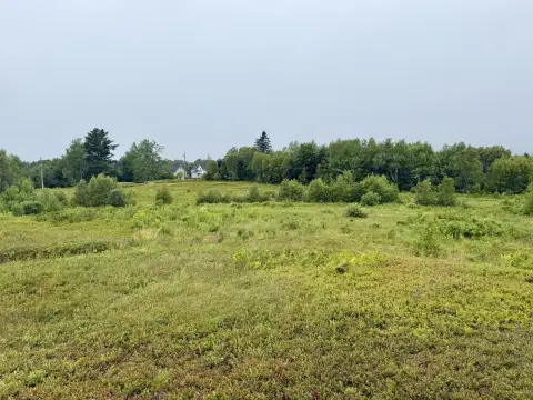 Farmland Parcel with Blueberry Fields