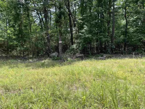 Residential Lot in Greers Ferry