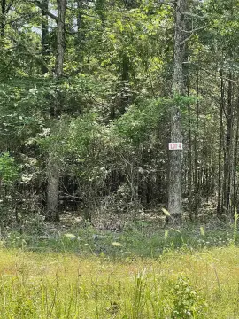 Residential Lot in Greers Ferry
