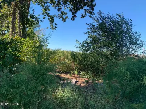 Windsor, NC Land For Sale