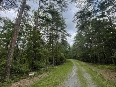 Ranger, GA Secluded Lot