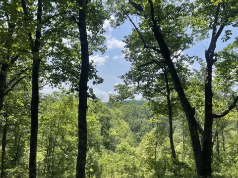 Ranger, GA Land with Views