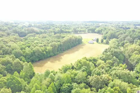 Mostly Wooded Hunting & Building Land