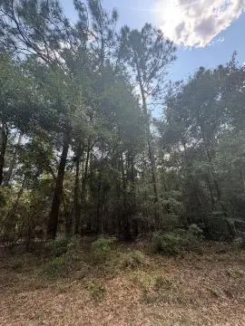 Wooded Corner Waterfront Land Lot