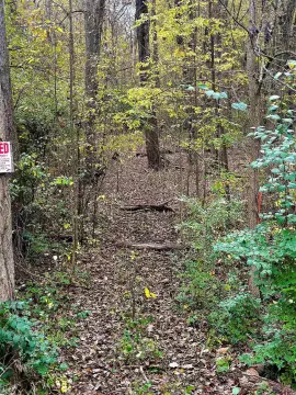 Riverfront Hunting Land