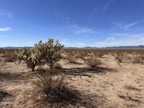 Desert Ranch Land with Mountain Views