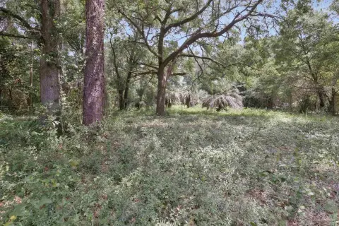Developable Land Parcel