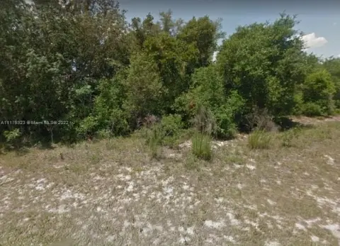 Residential Land in Florida