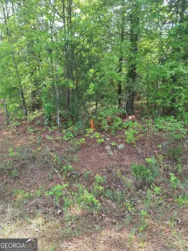 17 Acres Near Lake Russell