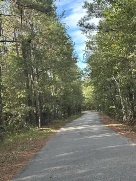 Summerton Land for Custom Build