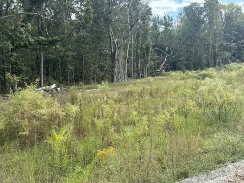 Land Near Lake Marion