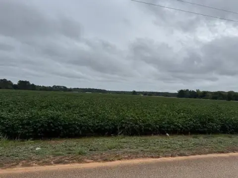 Wedgefield Farmland: 38 Acres