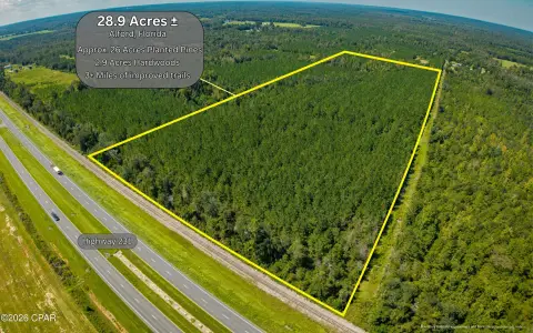 Timbered Hunting Land with Trails