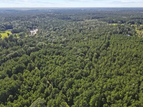 Kountze, TX Acreage Available