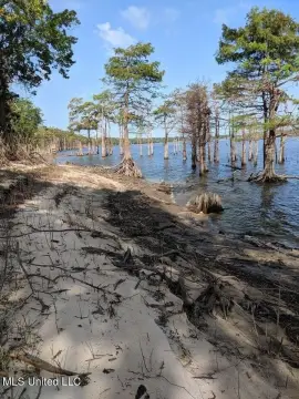 33 Acres Land in Woodville