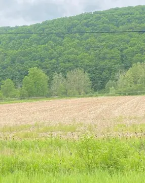 All-Tillable Farmland Parcel