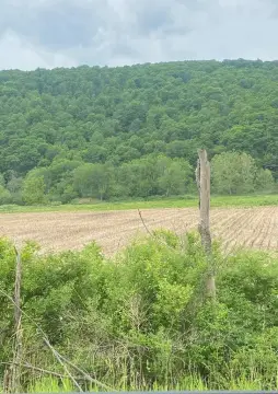 All-Tillable Farmland Parcel