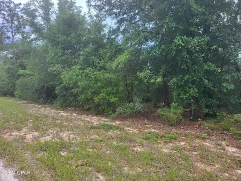Acre Lot in Compass Lake