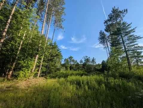 Soil-Tested Buildable Home Lot