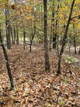 Ozark Hunting Land with Utilities
