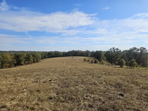Fenced Agricultural Land