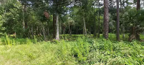 Custom Estate Lot with Partial Clearing