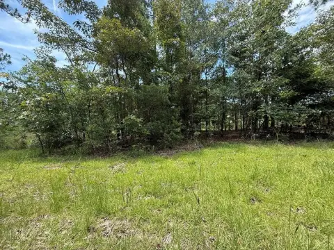 Waterfront Land Lot with 100 Feet