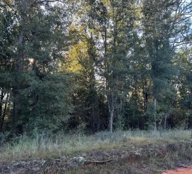 Wooded Single-Family Build Lots
